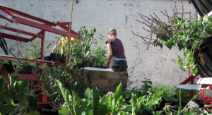 Schermafbeelding 2015-02-03 om 15.21.27