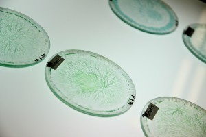 MvdW-Kunstzoektboer-05