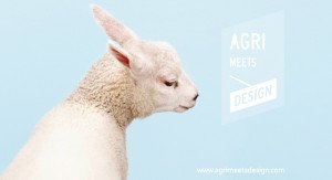 AmD schaap AmD schaap