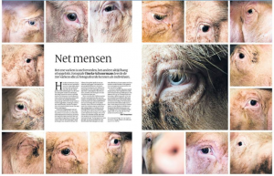 Schermafbeelding 2016-10-26 om 20.52.23