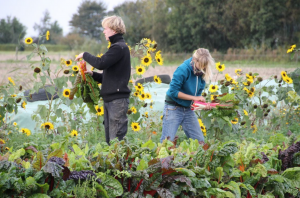 Schermafbeelding 2017-10-13 om 15.19.47