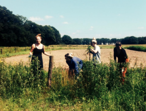 Schermafbeelding 2018-11-23 om 17.36.59